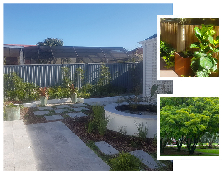 Commercial-Landscaping-in-Perth133dfa01eb3e6ebd.jpg