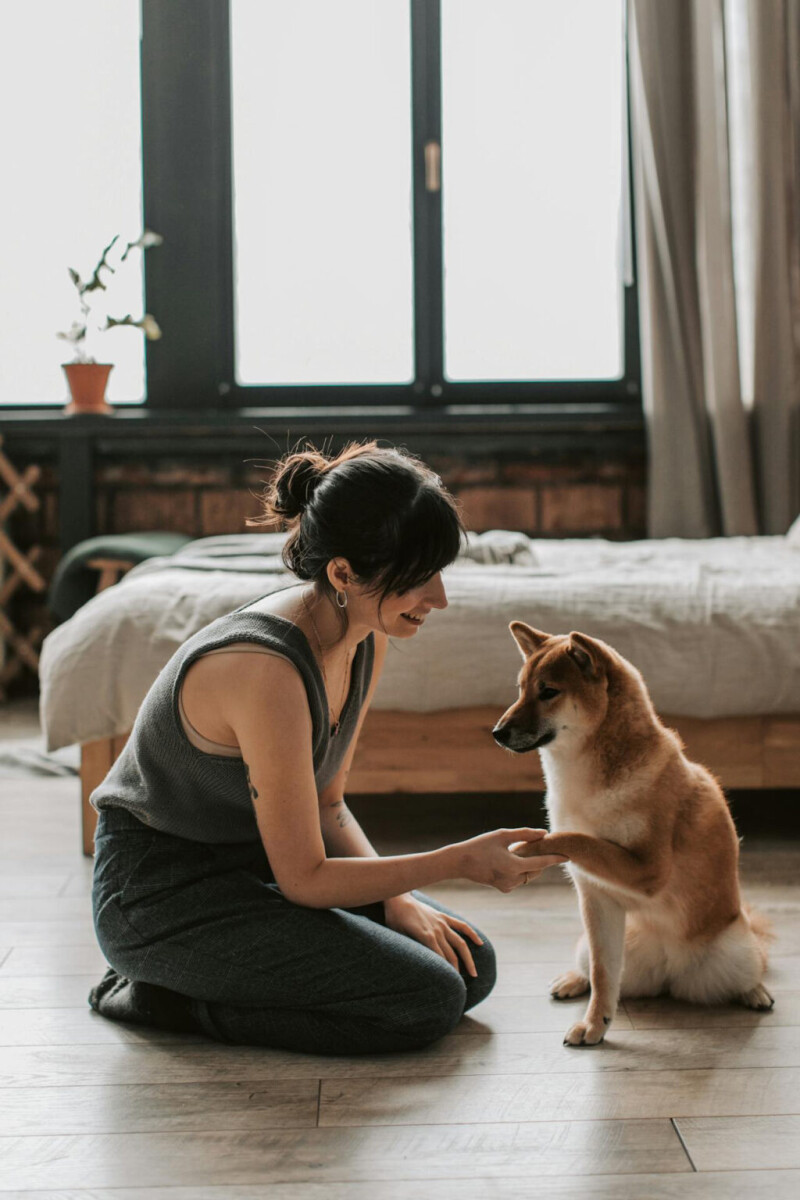 Become a Dog Trainer. Work Your Dream Job With The Wag N Tails Trainer Apprentice Program.
https://wagntails.net/tap/