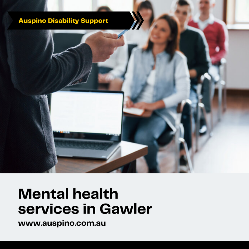 Enhance-the-level-of-confidence-with-mental-health-services-in-Gawler70dd904f7dc392cf.png