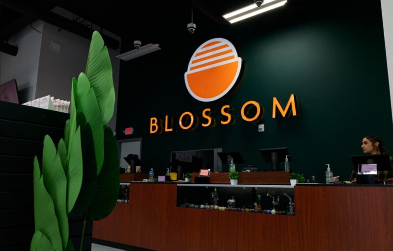 Experience the premier weed dispensary in Jersey City at Blossom Dispensary, where exceptional quality and customer satisfaction are our top priorities. Our diverse selection of top-shelf flower, potent concentrates, delicious edibles, and soothing topicals ensures you find exactly what you need. Our friendly, knowledgeable staff is here to guide you through our offerings, providing personalized recommendations for relaxation, relief, or recreation. Visit Blossom Dispensary today and discover exclusive deals and specials that make us the go-to destination for cannabis enthusiasts in Jersey City! Read More at https://blossomdispensary.com/