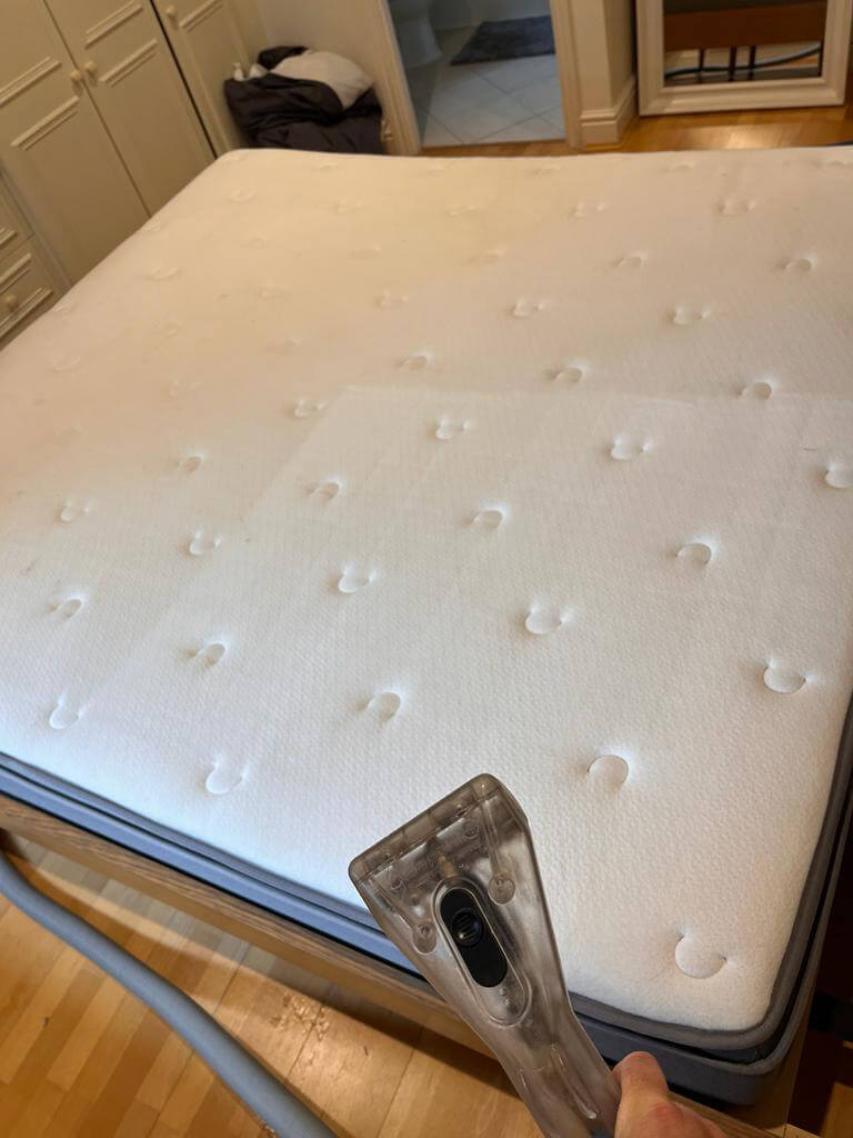 mattress-clean-surrey1f8901a6ce2359662.jpg