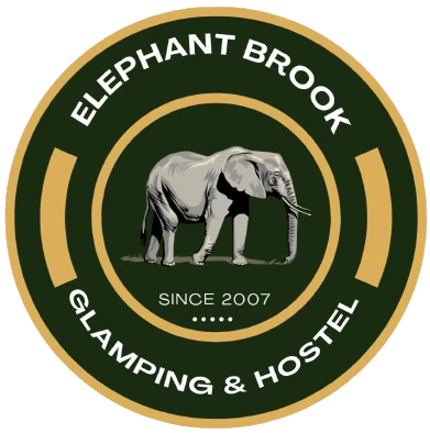 elephant-brooks119171760ae9b7a9.webp