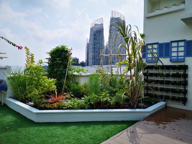 Open-Rooftop-Edible-Garden1dbbca516c7873b87.jpg