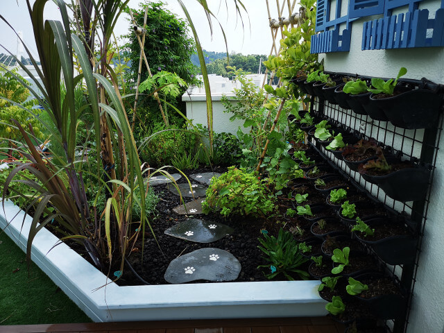 Open-Rooftop-Edible-Garden2da3c6543c5dd6fcf.jpg