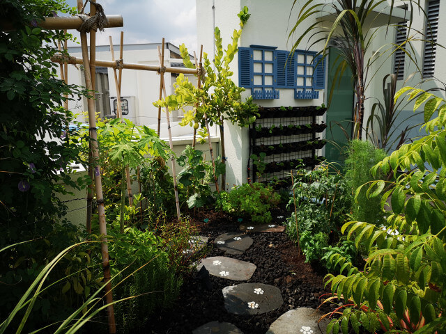 Open-Rooftop-Edible-Garden41a5bbe8899fcabe7.jpg