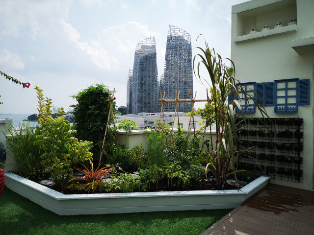 Open-Rooftop-Edible-Garden68923add144d57b0d.jpg