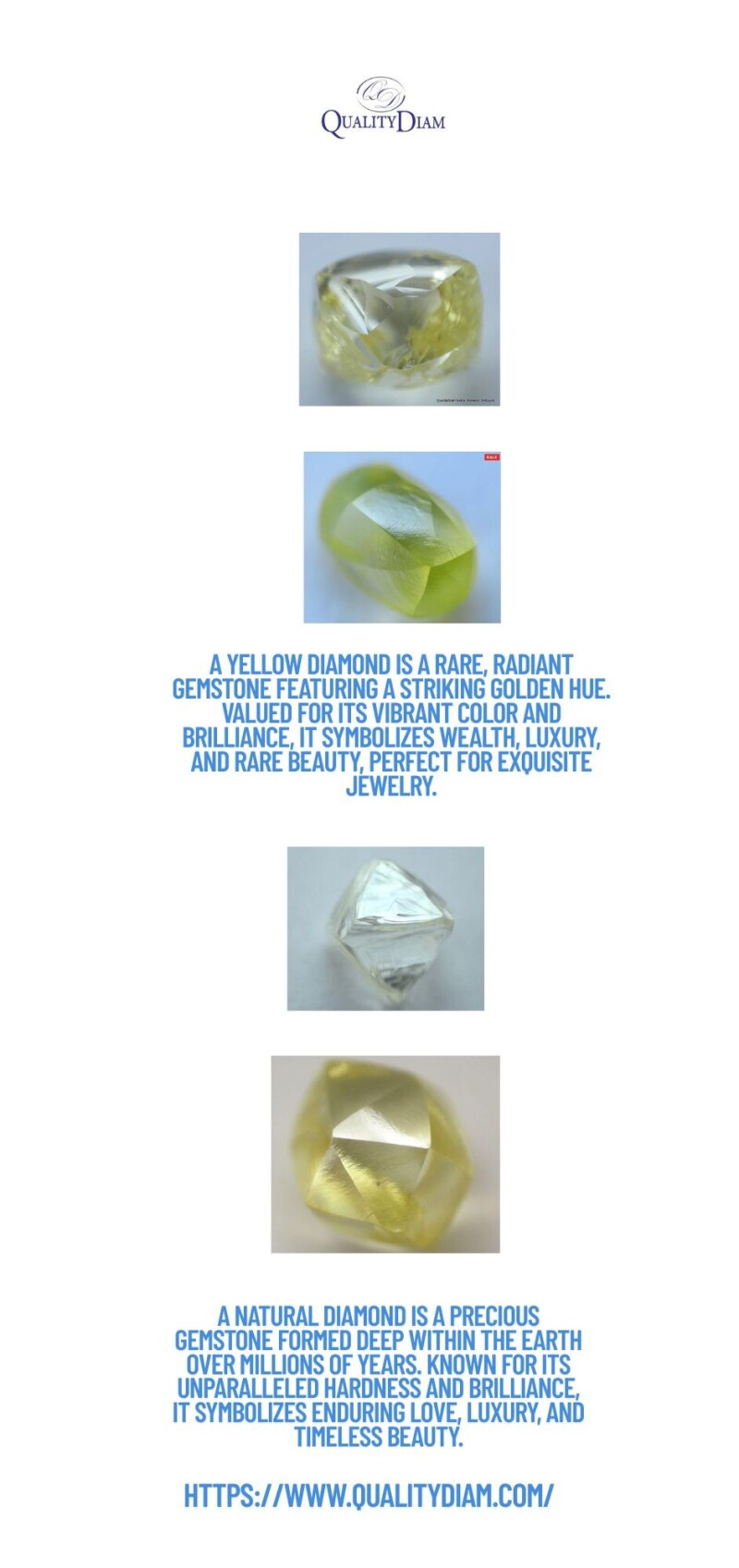 VaSoC.jpg